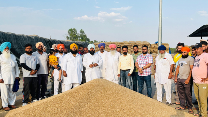 Deputy Speaker Rowdy reviewed the purchase of wheat in different mandis